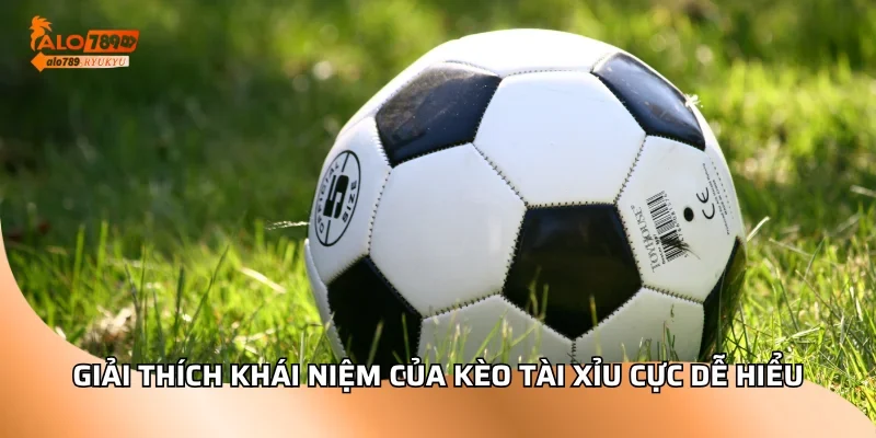Giải thích khái niệm của kèo tài xỉu cực dễ hiểu