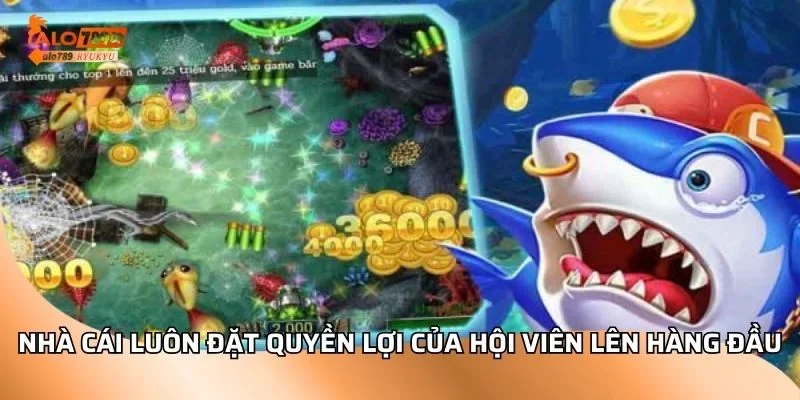 Nhà cái luôn đặt quyền lợi của hội viên lên hàng đầu