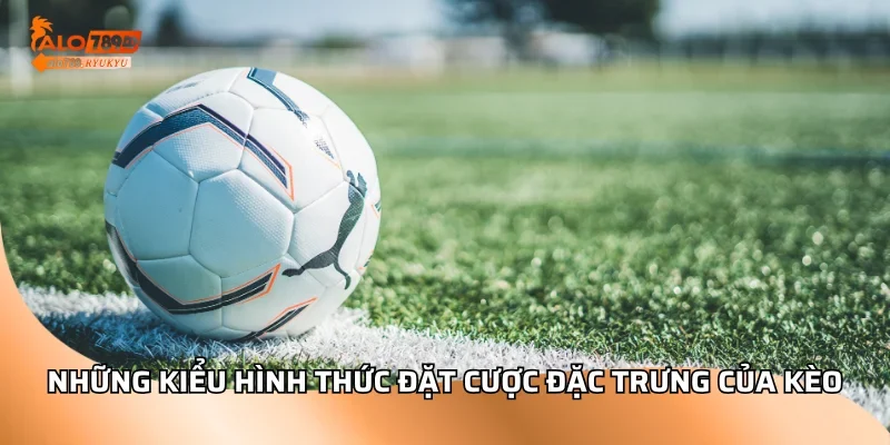 Những kiểu hình thức đặt cược đặc trưng của kèo